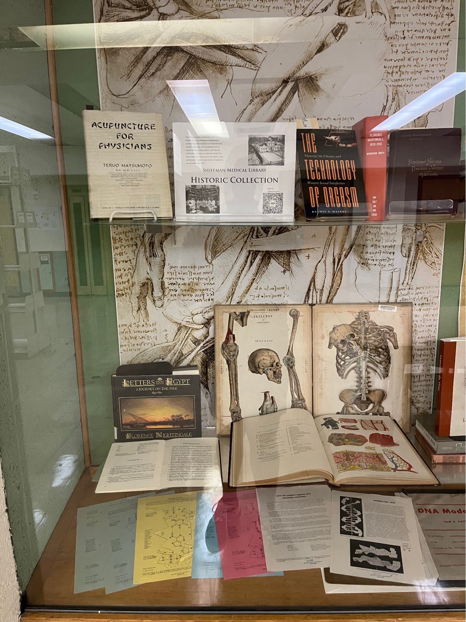 Anatomy display panels