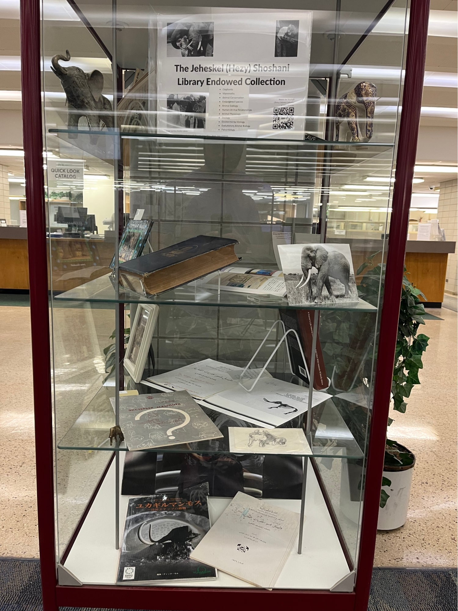 Elephant display panels