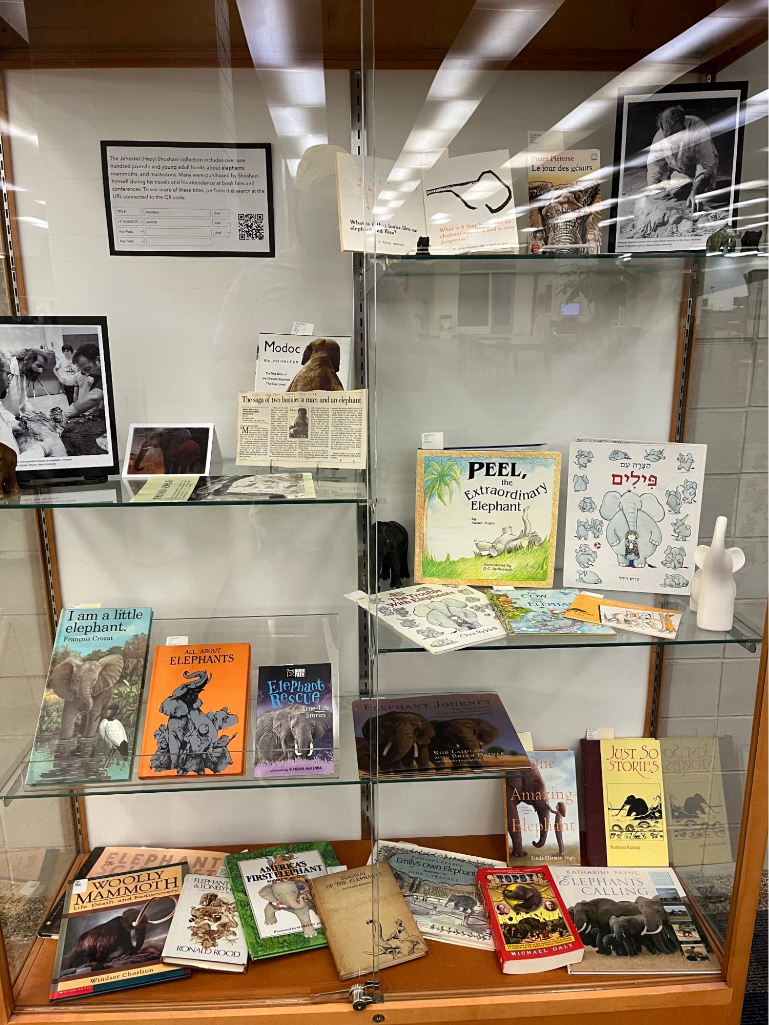 Elephant display panels