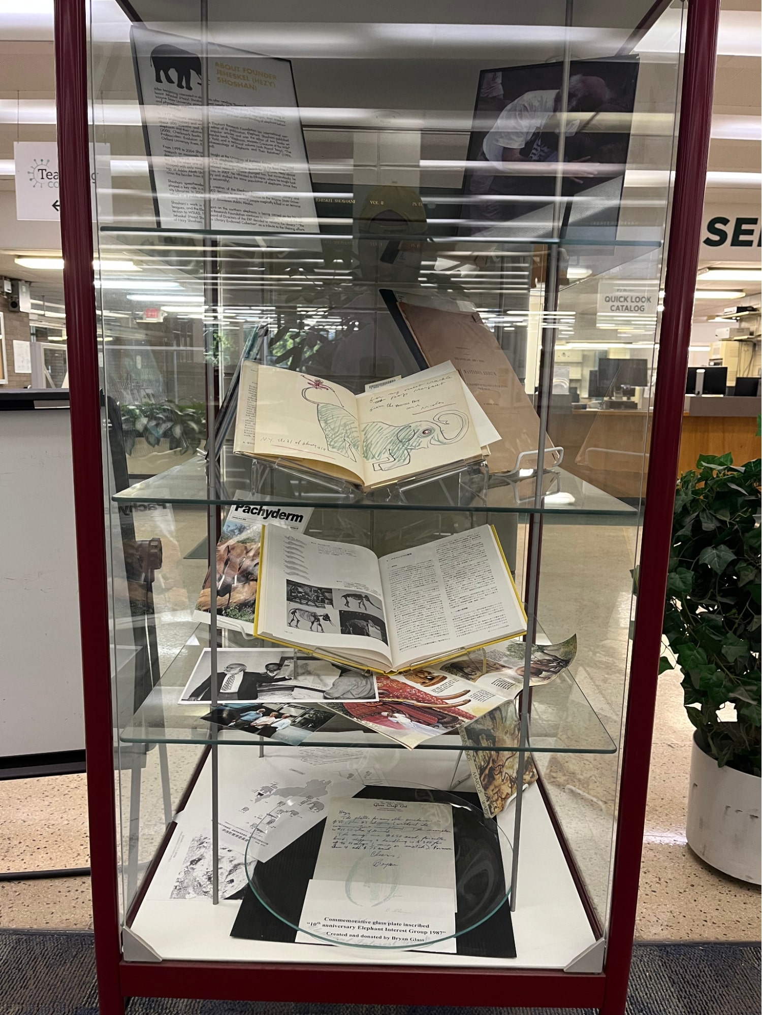 Elephant display panels