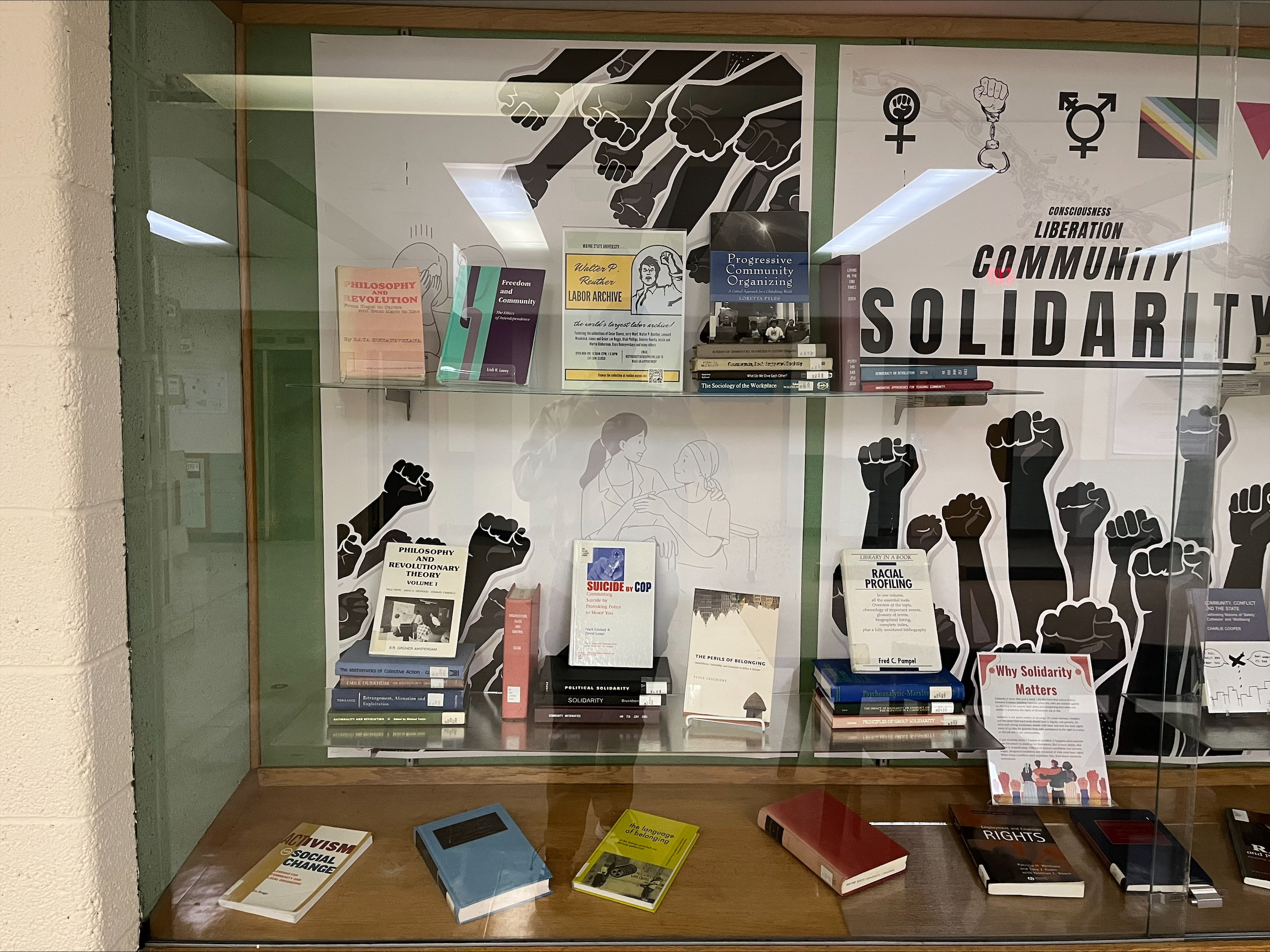 Solidarity display panels